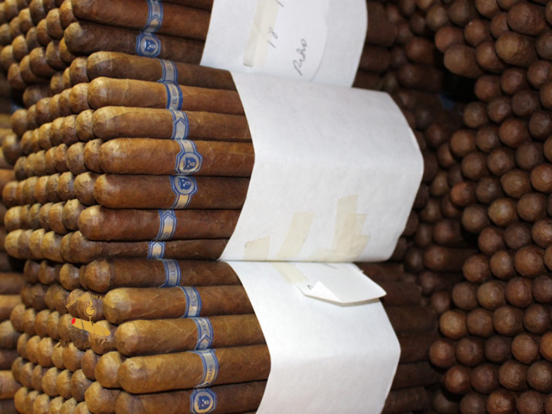 Cắt Half Wheel không chỉ là một phong cách thưởng thức mà còn mang lại tính thẩm mỹ